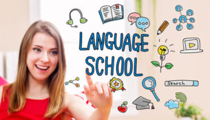 Strategia promocji internetowej dla szkoły językowej "Magellan"